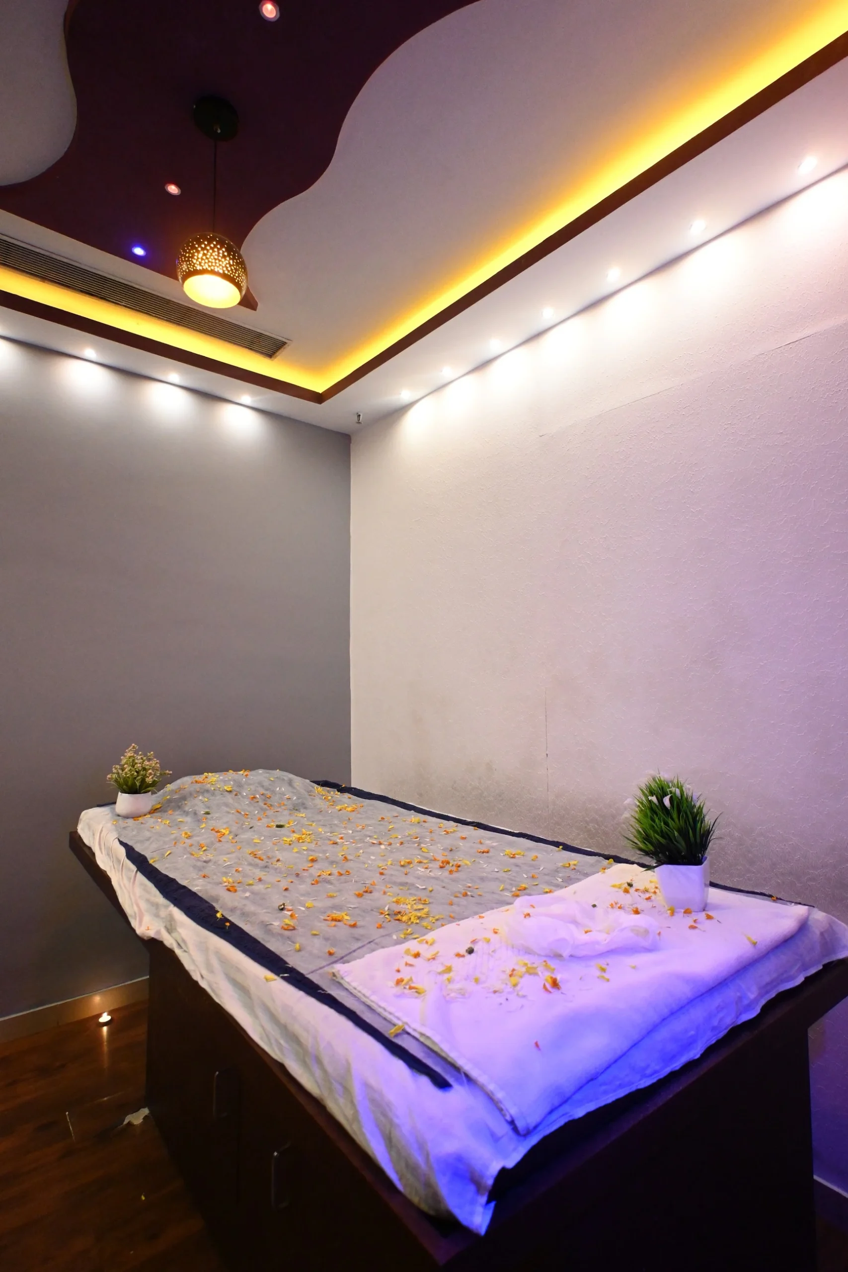 Luxury Spa Treatment